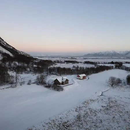 Hoven Vik
