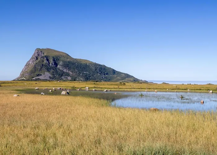 Hoven *