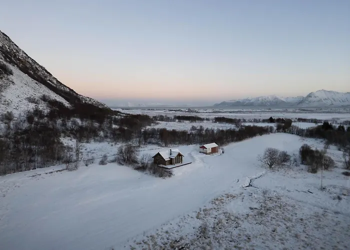Hoven Vik (Somna)